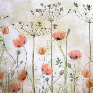 moonid_Poppy-Meadow_pilttapeet